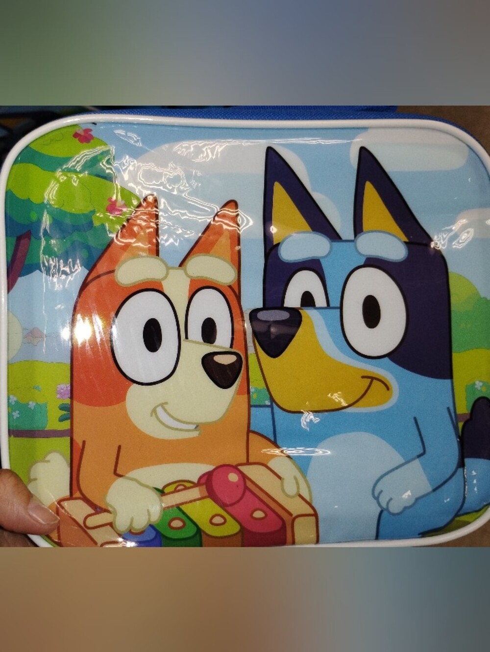 Kids Bluey Lunch Bag